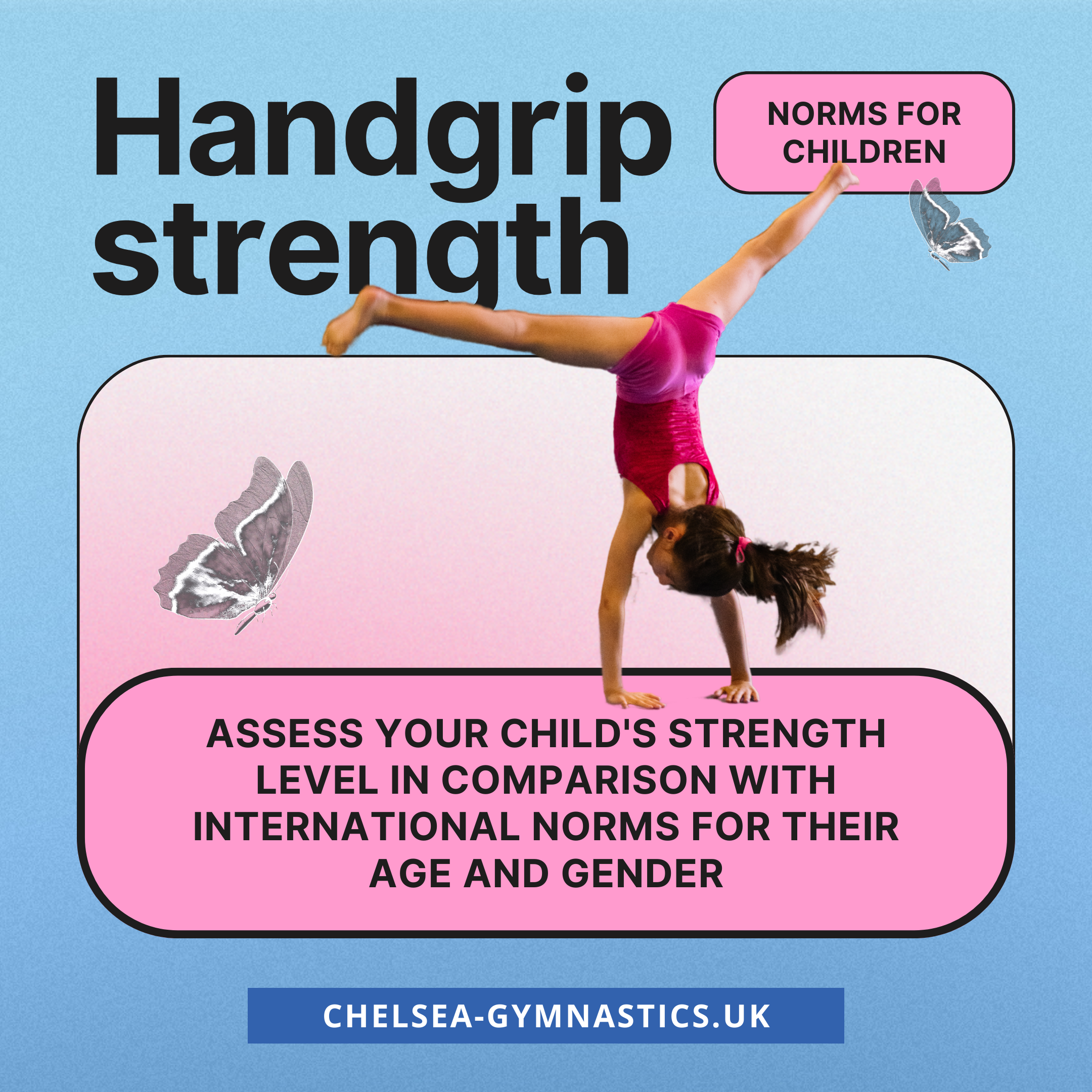 Norms for the Handgrip Strength Test in Gymnasts
